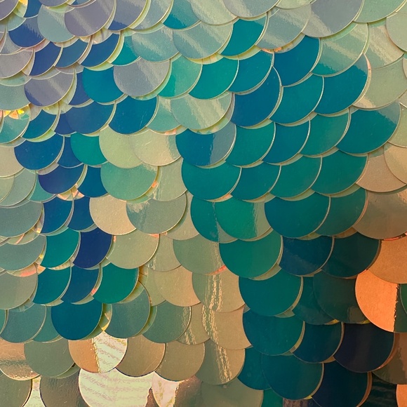 NEW ROSA BLOOM Sequins Crop Top SIZE XXS - Picture 3 of 4